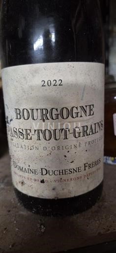 Burgundy Bourgogne Passe-tout-grains Domaine Chesne Frères 2022