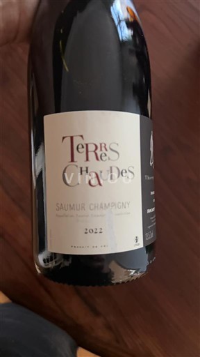 Vale do Loire Saumur-champigny Domaine Roches Neuves Terres Chaudes 2022