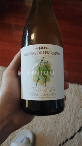 Languedoc och Roussillon Côtes catalanes Domaine Lendemain Brin d’ille 2023