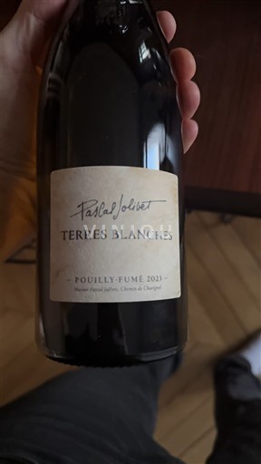 Vale do Loire Pouilly-fumé Pascal Jolivet Terres Blanches 2023