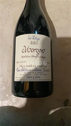 Beaujolais Morgon Yves Métaireau et Daniel Bouland Les Délys 2023