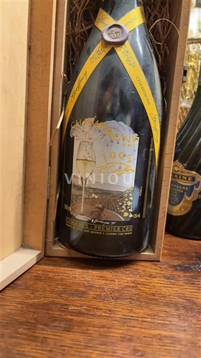 Sparkling Wines Blanc brut An 2000 Champagne Roger Coulon 1995 France Champagne Not Specified AOC