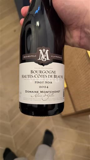 Borgogna Hautes Côtes de Beaune Domaine Montchovet 2024