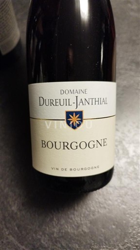 Burgundsko Domaine Reuil-Janthial 2023