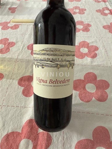 Abruzzes Terre di Chieti Vigna Belvedere Non Millésimé