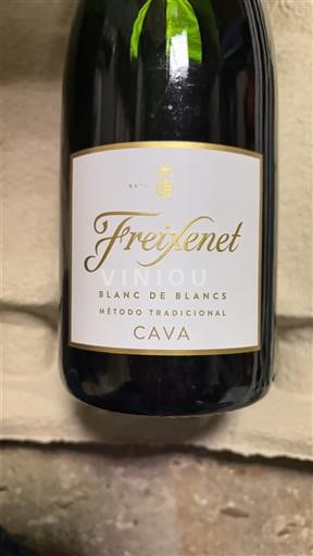 Catalogna Cava Freixenet Blanc de Blancs Senza annata