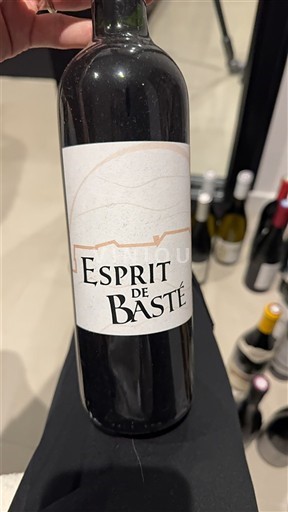 Sud-Ovest Madiran Domaine Basté Esprit de Basté 2020