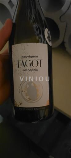 Loirevallei Fagot Amphoria Niet-geïntegreerd