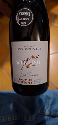 Loiren laakso Saumur-champigny Domaine S Damoiselles Les Tenières Ei vuosikertaa