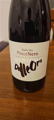 Veneto Dalle Ore 2023