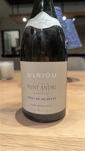 Dolina Loare Fiefs Vendéens Domaine Mourat Clos Saint André - Tries de mi-pente 2017