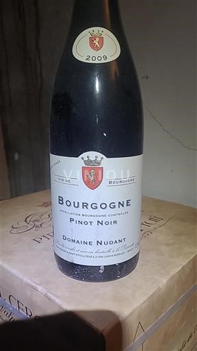 Bourgondië Bourgogne Domaine Nudant Vieilles vignes 2009