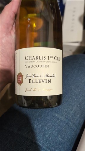 Bourgondië Chablis Premier Cru Premier Cru Domaine Jean-Pierre & Alexandre Ellevin Vaucoupin 2020
