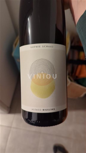 Alsace Riesling Sophie Schaal 2024
