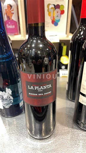 Castela e Leão Ribera del Duero Arzuaga Navarro La Planta Não Sazonado