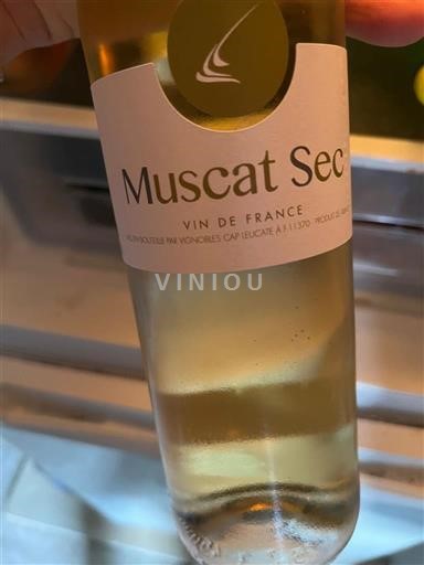 Rosellón Muscat de Rivesaltes Vignobles Cap Leucate Muscat Sec Sin añada