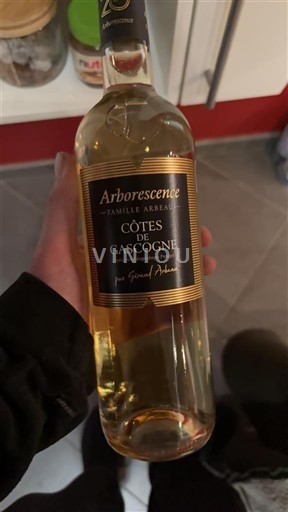 Sud-Ouest Côtes de Gascogne Famille Arbeau Arborescence Non Millésimé