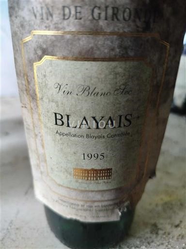 Rượu vang Blanc sec Vin de Gironde 1995 Pháp Bordeaux Blaye AOC