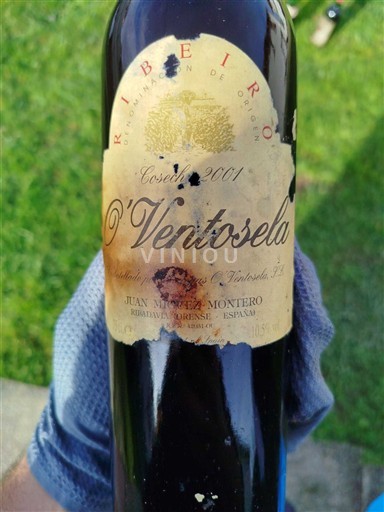 Galicia O Ribeiro Juan M. Vázquez Montero O Ventosela 2001