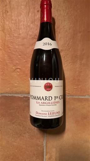 Burgundy Pommard Premier Cru Domaine Lejeune Les Argillières 2016