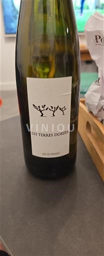 Beaujolais Non specificato Les Terres Dorées Vin de France Senza annata