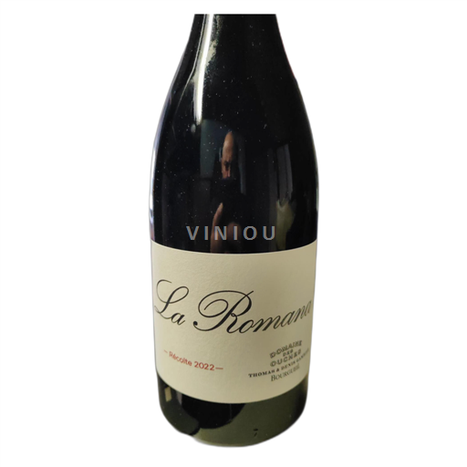 Valle della Loira Bourgueil Domaine des Ouches La Romana 2022
