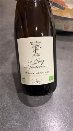 Dolina Loare Coteaux de l'Aubance Domaine Richou Un Cinq de Tendresse 2023