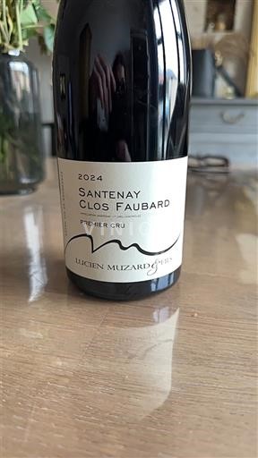 Burgundy Santenay Premier Cru Lucien Muzard & Fils Clos Faubard 2024