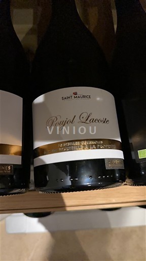 Burgundsko Saint-Aubin Paujel Lacoste Neročník