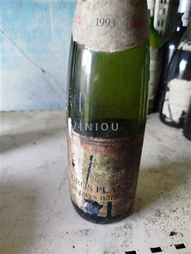 Valle della Loira Gros-plant-del-paese-nantese Domaine Champ Chapron 1993