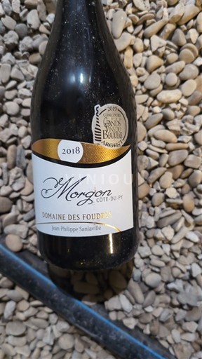 Beaujolais Morgon Domaine S Foudres Côte du Py 2018