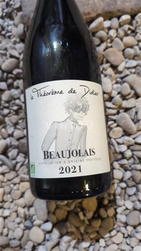 Beaujolais Le Théorème de Didier 2021
