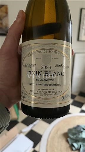 Vini Blanc sec Les Ormeaux Arcelin et Jean-Michel Molin 2023 Francia Borgogna Fixin AOC