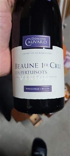 Burgundsko Beaune Premier Cru Domaine Cauvard Les Pertuisots 2021