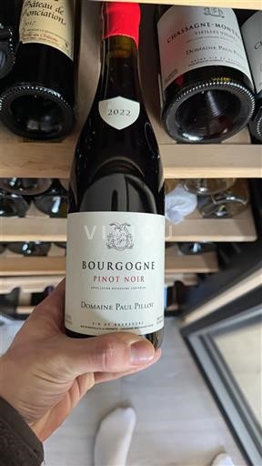 Borgoña Domaine Paul Pillot 2022