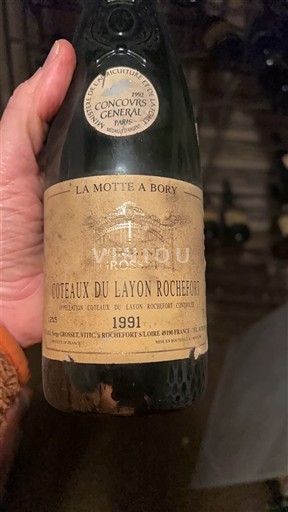 Loiren laakso Määrittelemätön Domaine Rochefort La Motte à Bory 1991