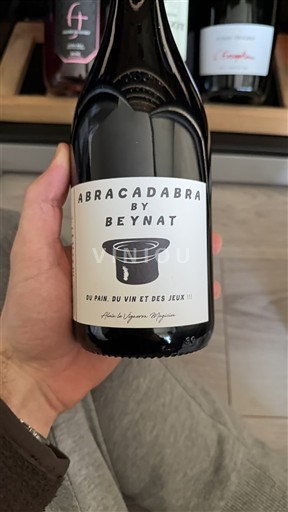 Bordeaux Castillon-côtes-de-bordeaux Beynat Abracadabra 2023
