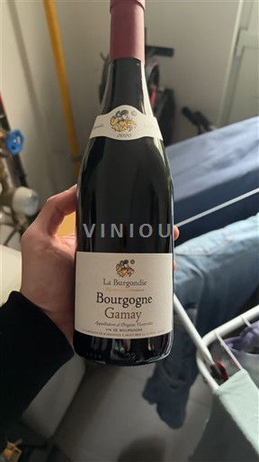 Burgundy La Burgondie Gamay 2020