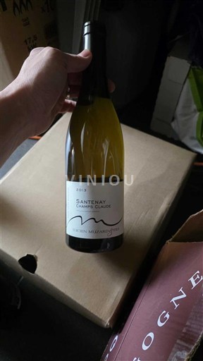 Burgundy Santenay Domaine Sébastien Magnien Champs Claude 2019