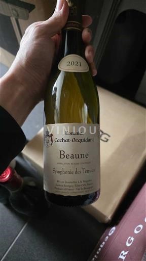 Burgundsko Beaune Domaine Cachat-Ocquidant Symphonie des Terroirs 2021