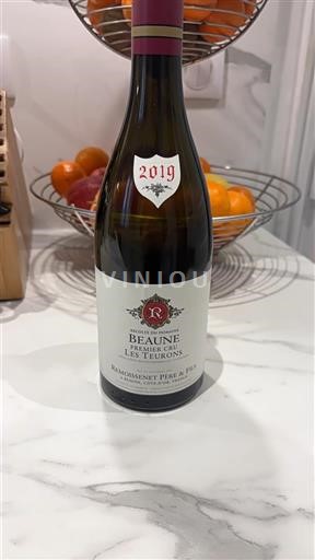 Borgogna Beaune Remoissenet Père & Fils Les Teurons 2019
