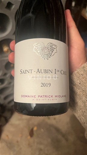 Bourgogne Saint-Aubin Premier Cru Domaine Patrick Miolane 2019