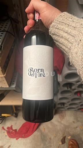 Wines Rouge sec Born of Fire Non millésimé USA Northwest American AVA Not Specified AVA