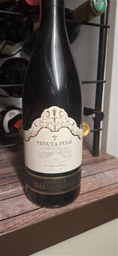Vénétie Amarone della Valpolicella Tenuta Pule Non Millésimé