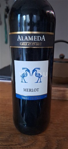 Vale do Maipo Maipo Central Alameda 2023