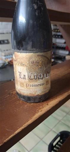 Burdeos Bordeaux La Coupole Promesse Sin añada