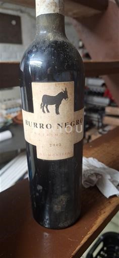 Aragon Somontano Burro Negro 2003