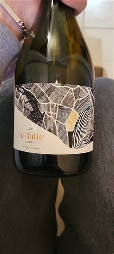 Loire-dalen Muscadet-Sèvre-et-Maine La Ganolière La Butte (Amphore) 2023