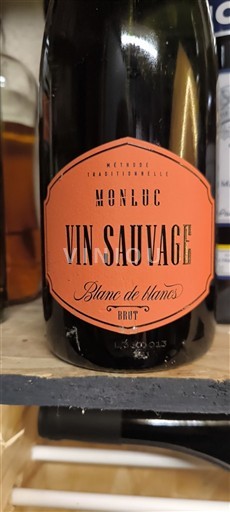 Vinhos Espumantes Blanc brut Vin Sauvage Monluc Non millésimé França Sudoeste Não especificado IGP