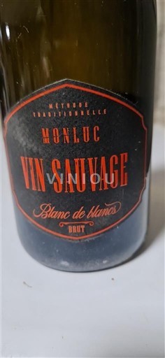 Sudoeste Não especificado Monluc Vin Sauvage Não Sazonado